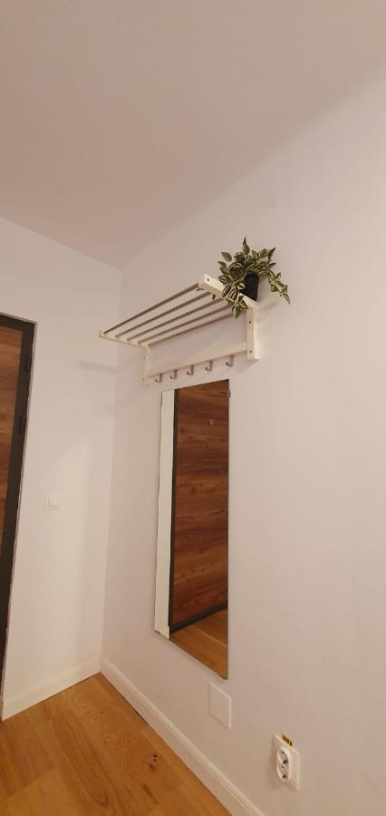The Pines Serviced Apartments Μπρασόβ Εξωτερικό φωτογραφία